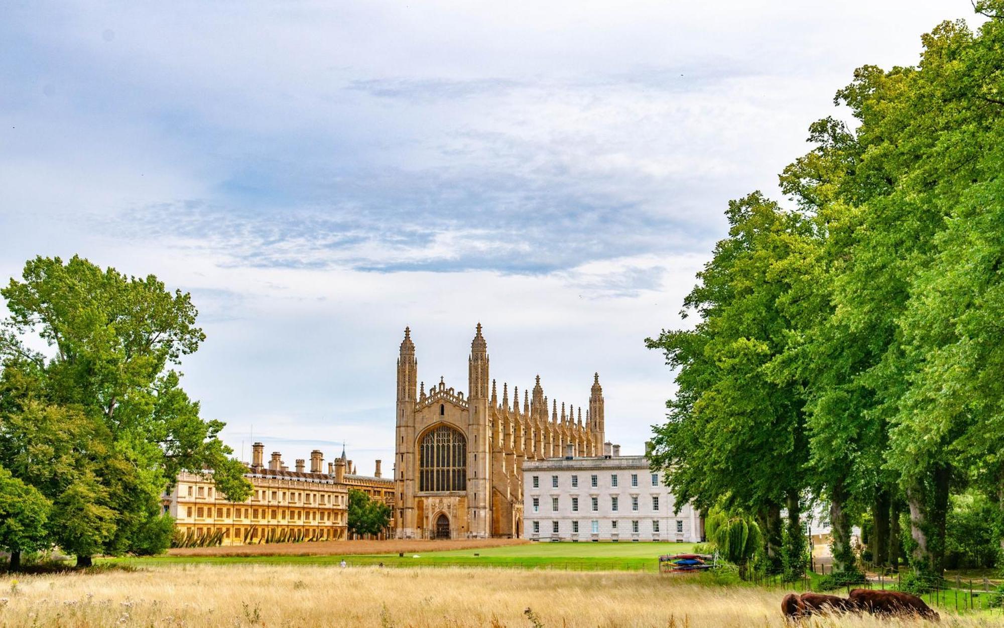 City Cb1 Studio Just Off Mill Rd, Close To Train Station - Walk To Station And City Centre Cambridge Exteriér fotografie